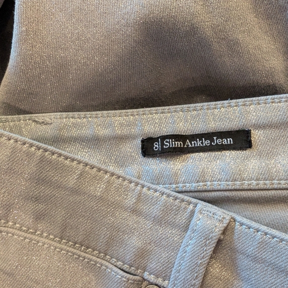 Talbots Shimmering Silver Pants - Picture 8 of 10